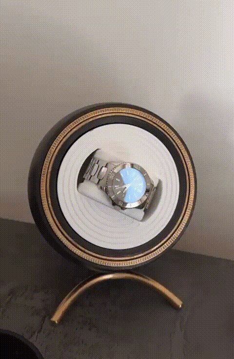 Watch winder watch mod 