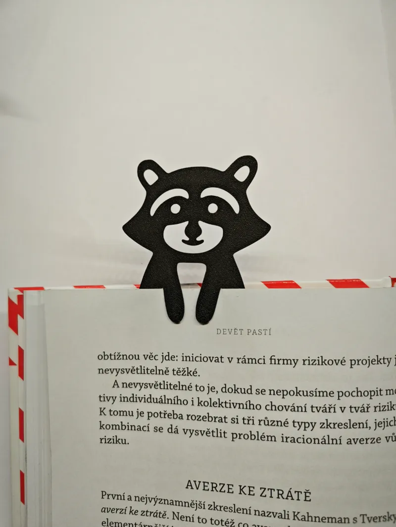 raccoon bookmark