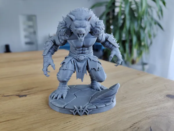 https://makerworld.bblmw.com/makerworld/model/US770199a5ec74b9/design/2025-06-29_5b5f4f3d9aeec.jpg