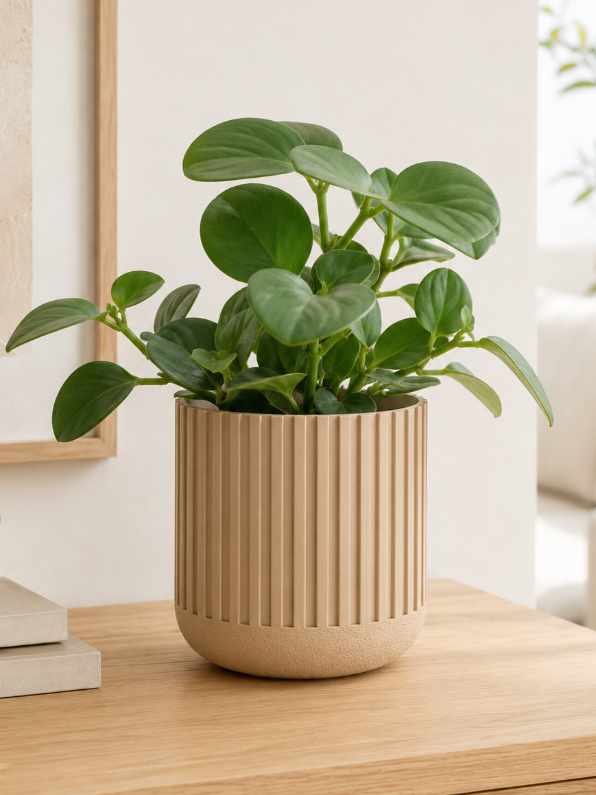 Japandi Blumentopf mit geriffelter Struktur