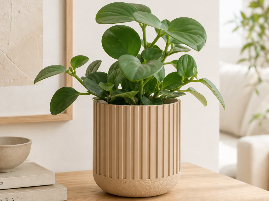 Japandi Blumentopf mit geriffelter Struktur