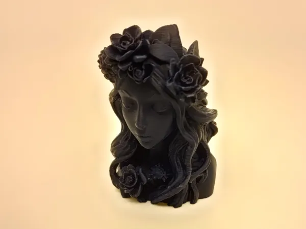 https://makerworld.bblmw.com/makerworld/model/US77087ed6d20646/design/2025-07-21_f2921205483c4.jpg