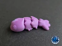 1 color shrimp
