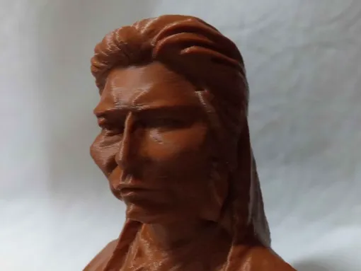 Chief Joseph Bust