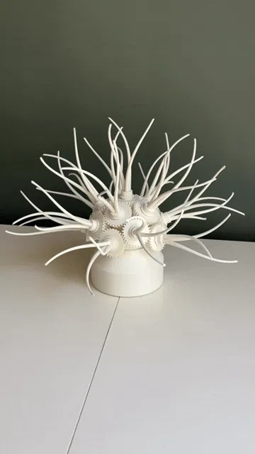 Modelo para impresión 3D: ANIMECH Actinia - Kinetic Gear Anemone — vista de referencia 3