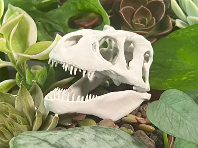 Terrarium T-Rex