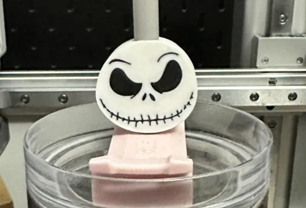 https://makerworld.bblmw.com/makerworld/model/US7713ab6f64310/design/2024-06-30_996027f33728.jpeg
