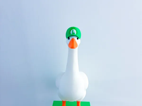 https://makerworld.bblmw.com/makerworld/model/US771c1f13946480/design/683ef252b8098573.jpg