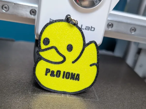 https://makerworld.bblmw.com/makerworld/model/US771d4a64aa751a/design/2025-04-04_7181b485672b3.jpg