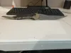 0.16mm layer, 2 walls, 15% infill