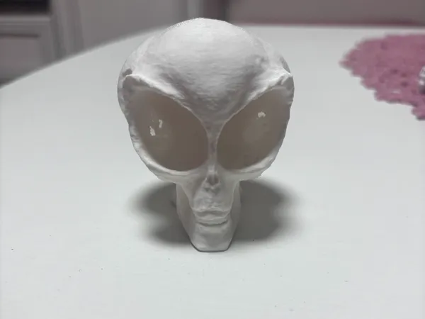 https://makerworld.bblmw.com/makerworld/model/US772346a83bb7d1/design/2025-01-02_10a90bfafc05f.jpg