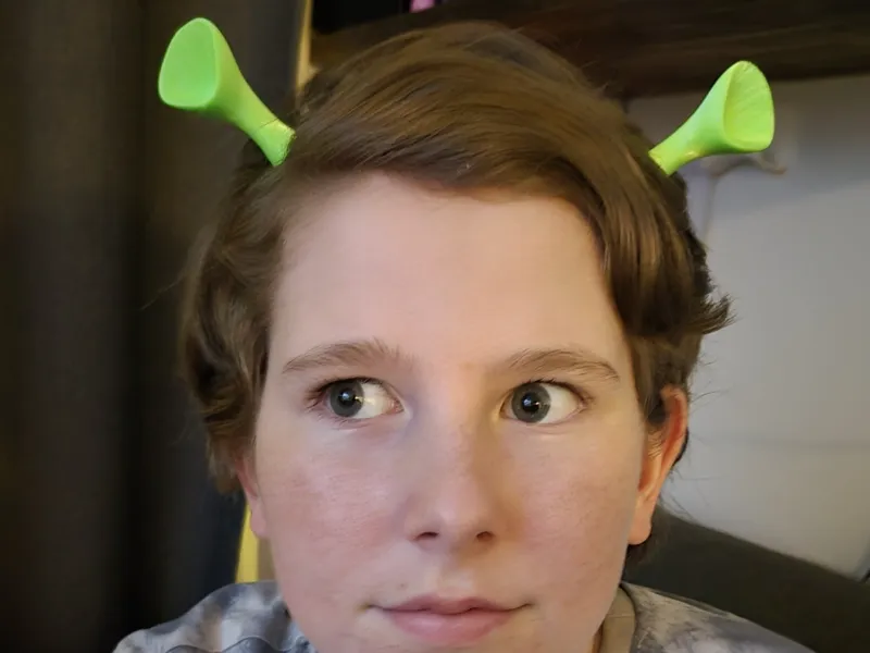 Bigger Ogre Ears from Shrek