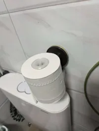 厕纸挂钩模块