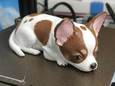 Chihuahua