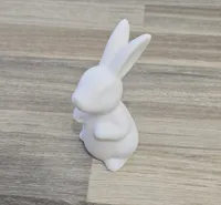 0.2mm layer (variable setting), 3 walls, 5% infill