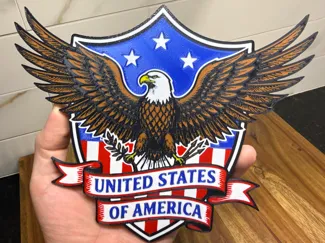 USA Patriotic American Eagle Shield Wall Art