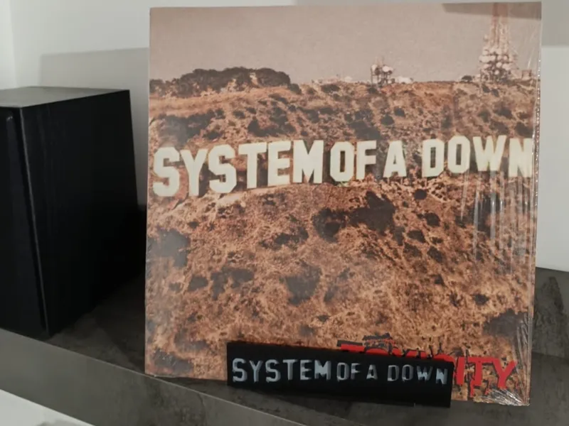 SOSTEGNO REGGI VINILE SYSTEM OF A DOWN TOXICITY