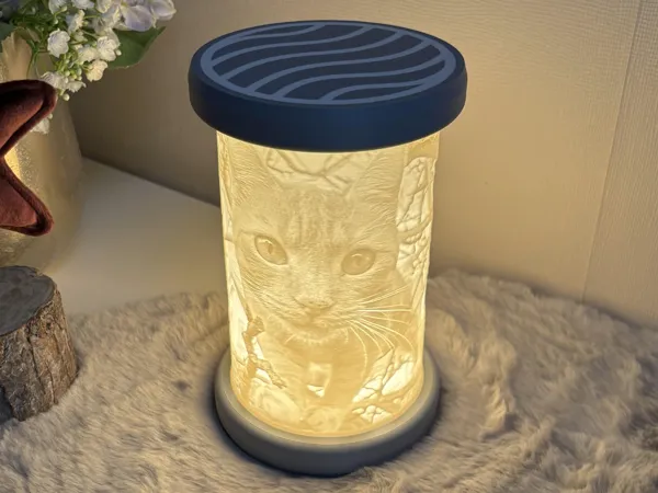 https://makerworld.bblmw.com/makerworld/model/US7735c54c0067cb/design/2024-12-25_28c0a23f0adcb.jpg
