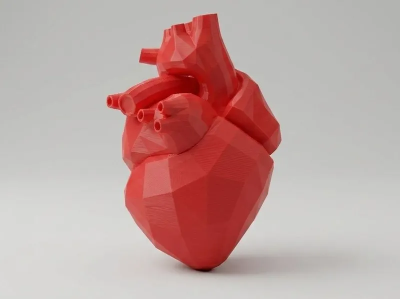 Low-Poly Anatomical Heart