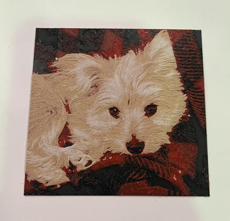 Maltipom Puppy Hueforge