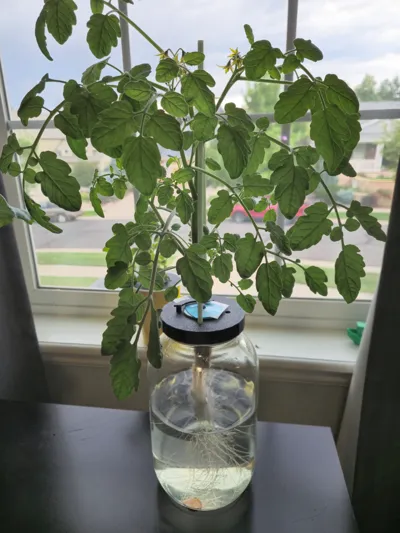 Hydroponics Net Cup 3.5in Bottle/Jar Adapter