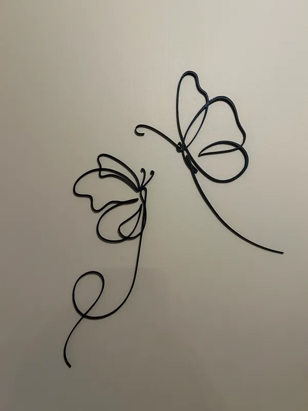 Papillons contour