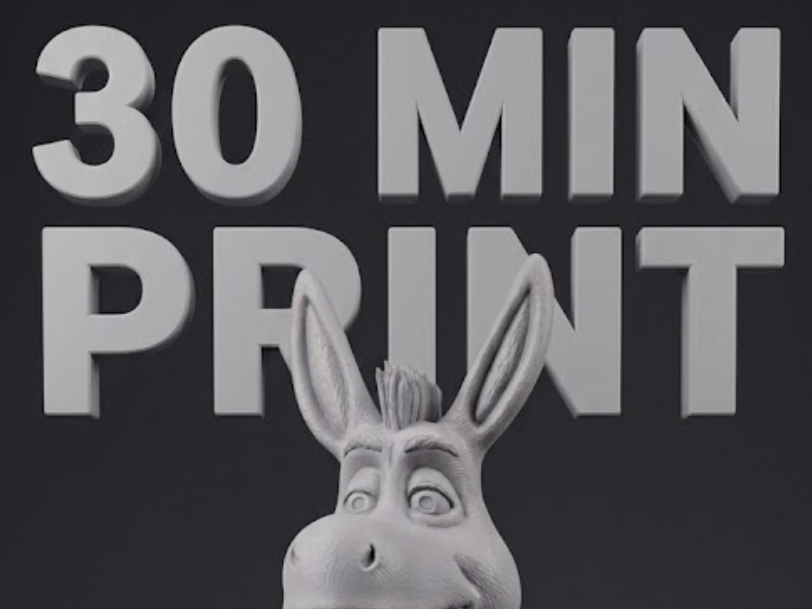 donkey 30 min print