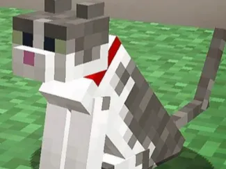 Minecraft katze