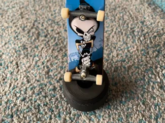 Fingerboard exposer