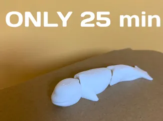 Articulated Beluga flexi