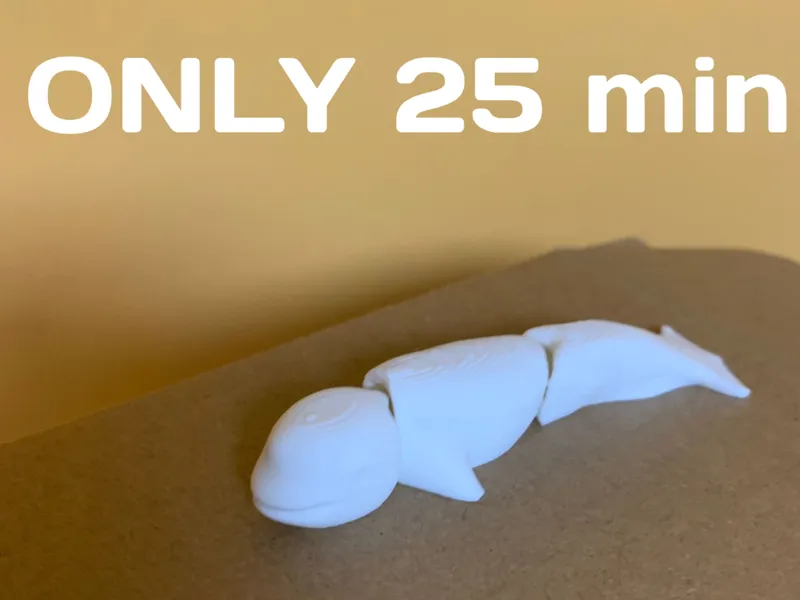 Articulated Beluga flexi