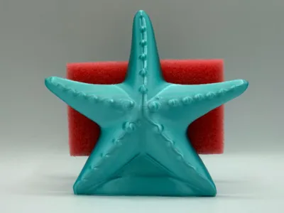 Starfish Sponge Holder