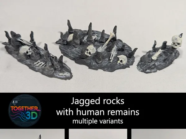 https://makerworld.bblmw.com/makerworld/model/US7769a81275b26d/design/2025-09-20_9be69dc5ffac08.jpg