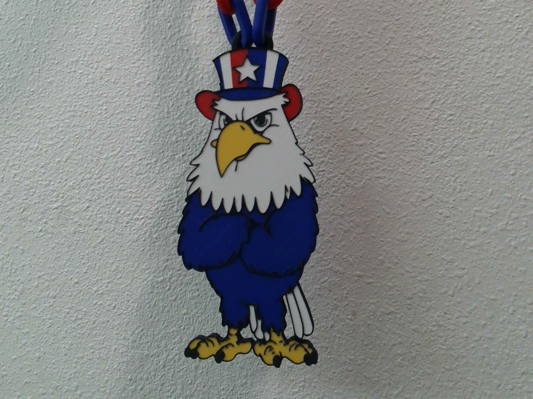 4th Of July Grumpy Eagle