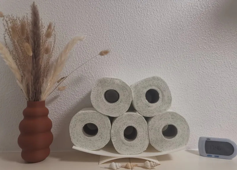 Toilet paper holder