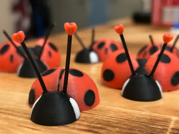 https://makerworld.bblmw.com/makerworld/model/US7771949695f914/design/2025-01-26_636c1dc377dec.jpg