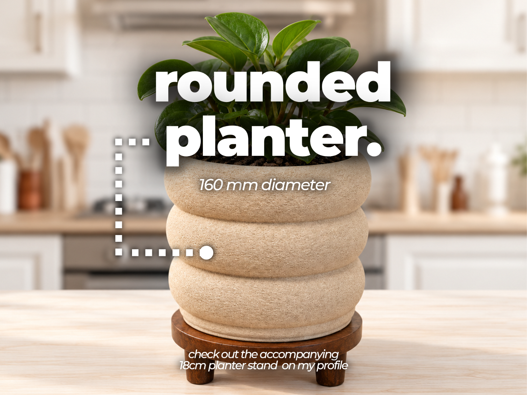 Rounded Planter 3D model
