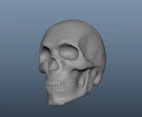 0.2mm layer, 2 walls, 10% infill