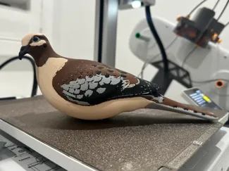 Dove Decoy