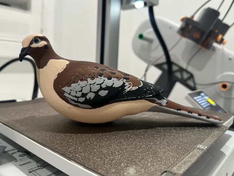 Dove Decoy