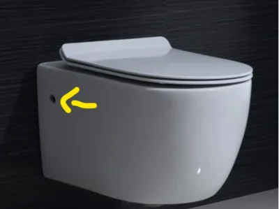 Hole Cover Wall mounted Toilet