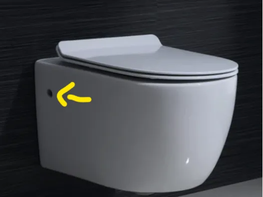 Hole Cover Wall mounted Toilet