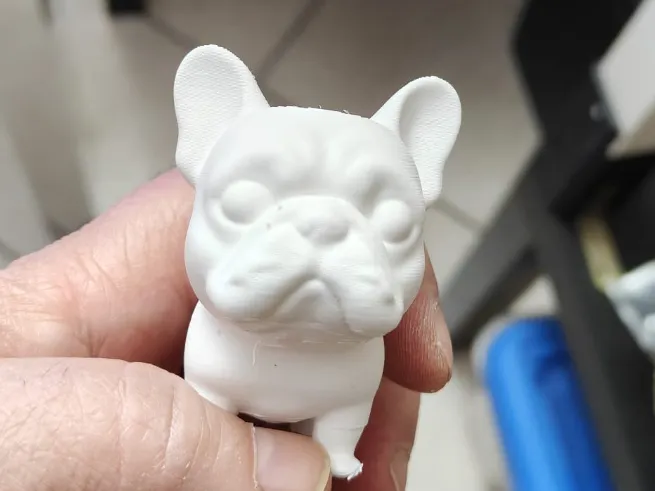 Bulldog  francese