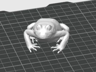 Animal - Frog