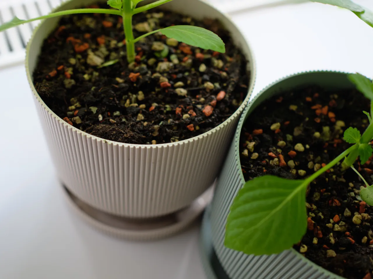 Planter Pot with Drip Tray, 12 cm / 5 inches view 3