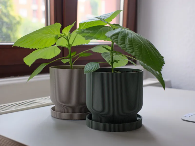 Planter Pot with Drip Tray, 12 cm / 5 inches