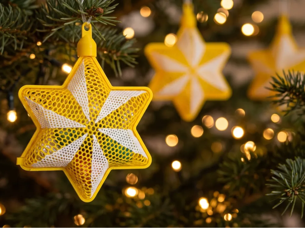 Thermoformed Christmas Star | Candy Container - Free 3D Print Model ...