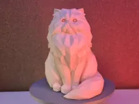 0.2mm layer, 2 walls, 10% infill