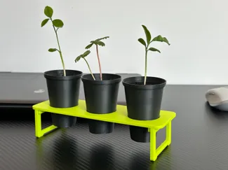 reGreen - grow seed's