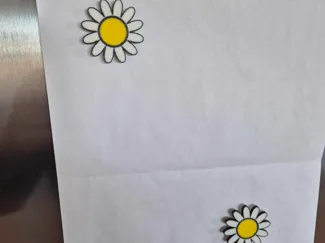 Daisy Fridge magnet 